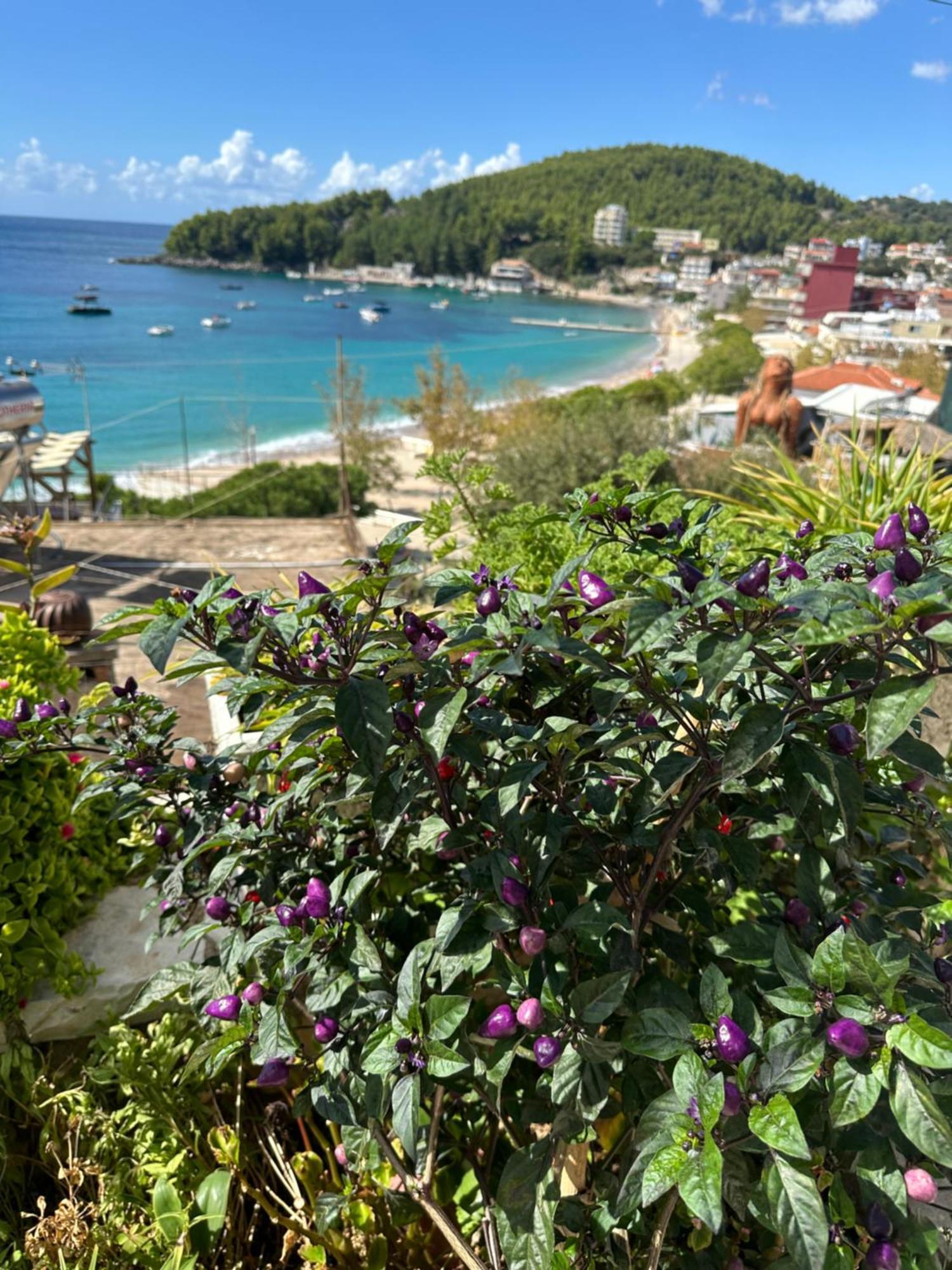 Fane'S Apartments Himara Zewnętrze zdjęcie